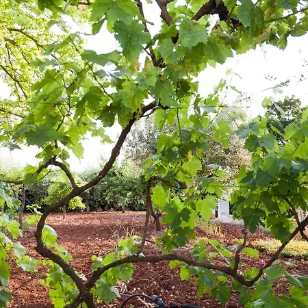Masseria Lacatena 아파트 *