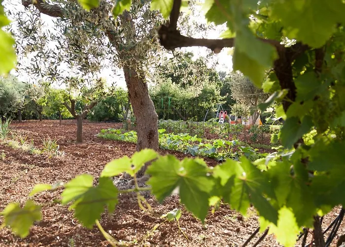 شقة Masseria Lacatena Gorgofreddo