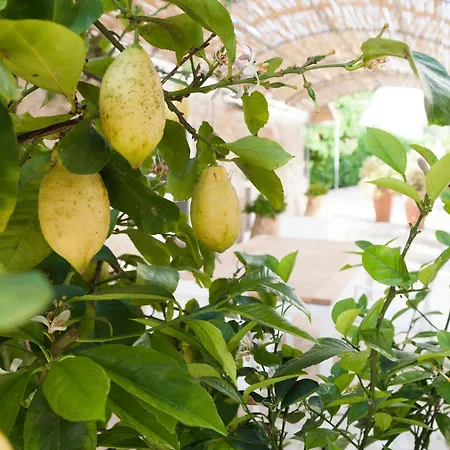 Masseria Lacatena Gorgofreddo