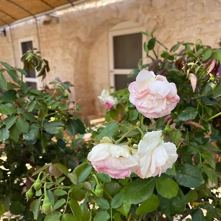 Masseria Lacatena Appartement *
